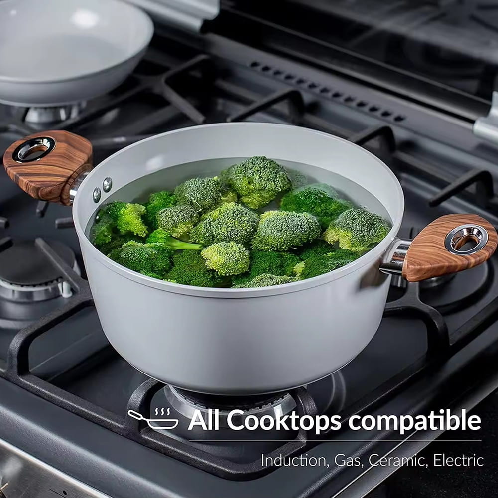 Non-toxic induction bottom nonstick die casting cooking pot casserole stockpot with soft touch